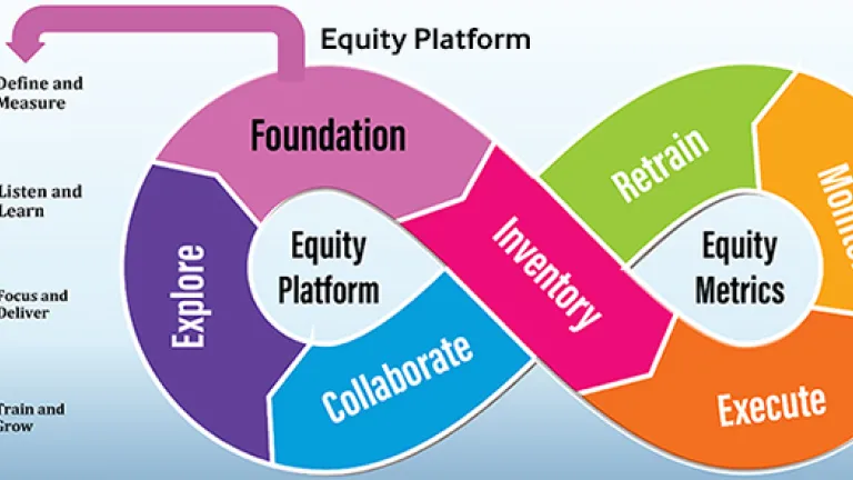 Equity Platform diagram indicating the pillars form an infinity loop