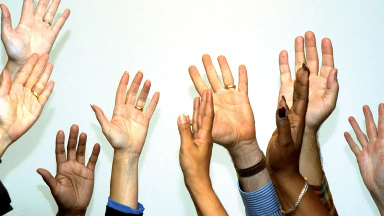 Hands raised in the air.