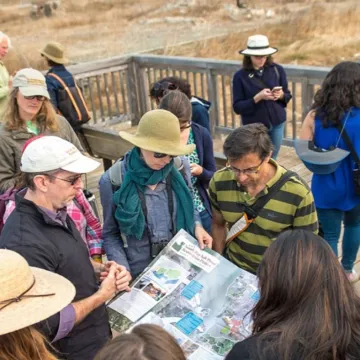 Design team members peruse a large brochure of the South Bay Salt Ponds