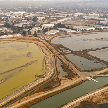 Salt Pond