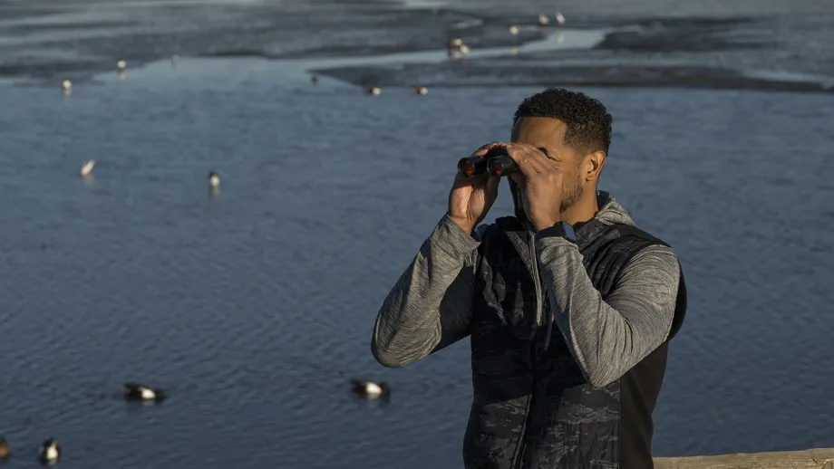 A person birdwatching on the Bay Trail.