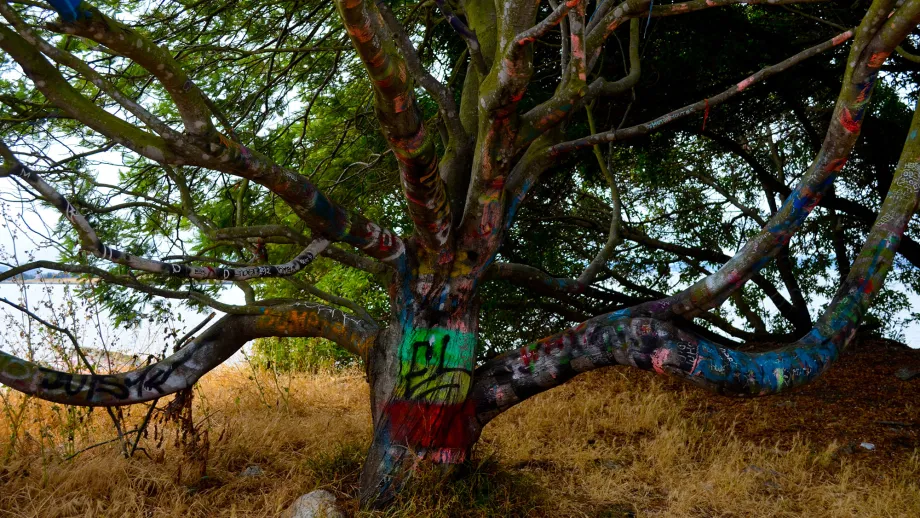 Albany Bulb