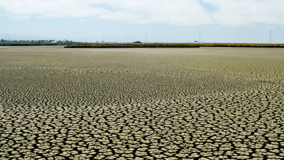 Hayward Mudflat