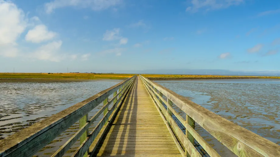 Hayward Regional Shoreline