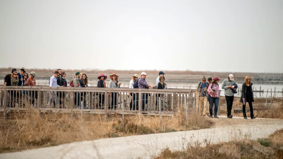 Walking along the South Bay Salt Ponds