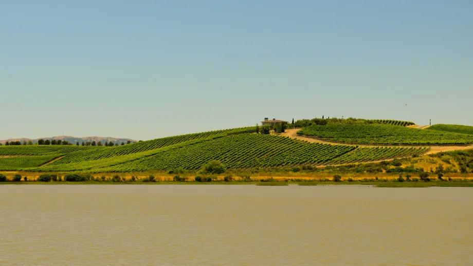 Tolay Creek, Sonoma