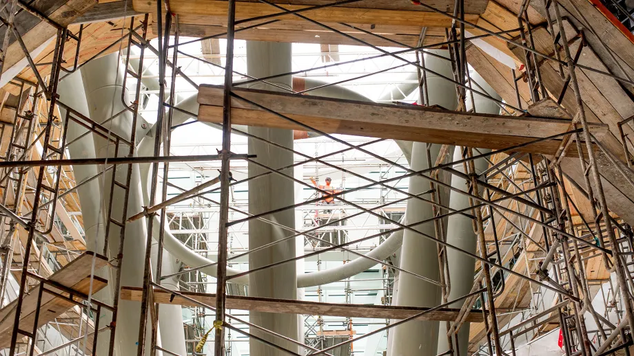 scaffolding under structure