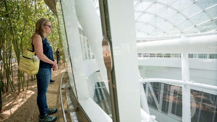 Salesforce Transit Center Public Opening