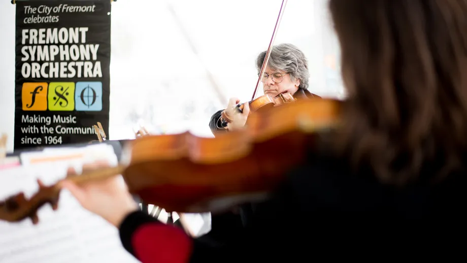 people playing the violin