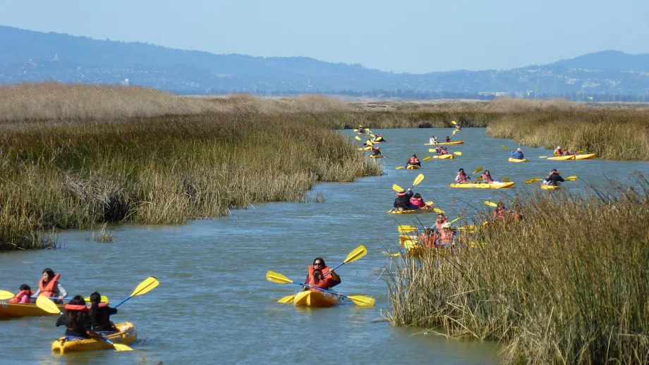 Kayakers in Alviso Slough
