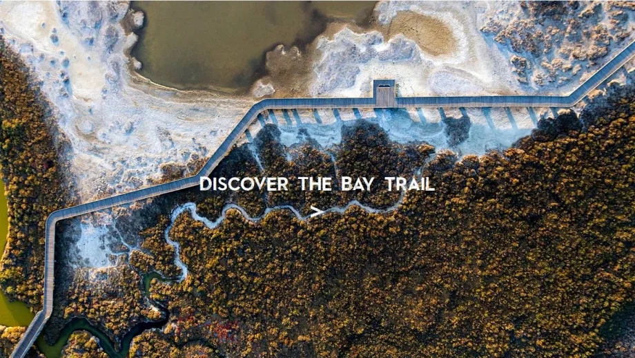 Bay Trail