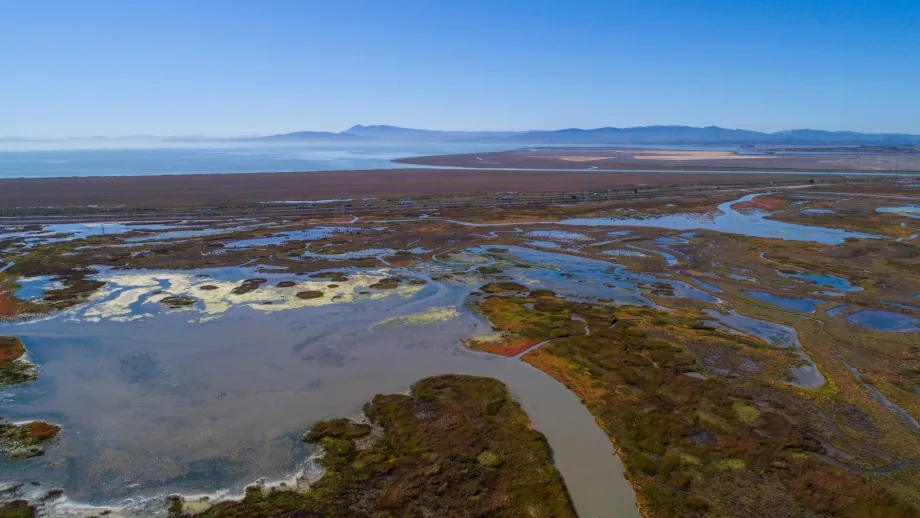 North Bay Wetlands