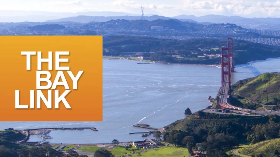 The Bay Link